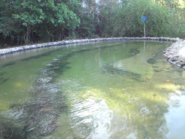 Elevate EPDM Lining 2 Andaman Hotel Langkawi