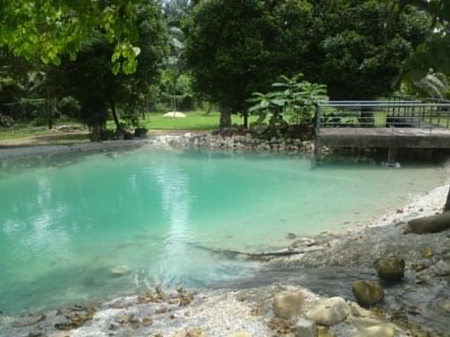 Elevate EPDM Lining 10 Turtle Pond Ipoh