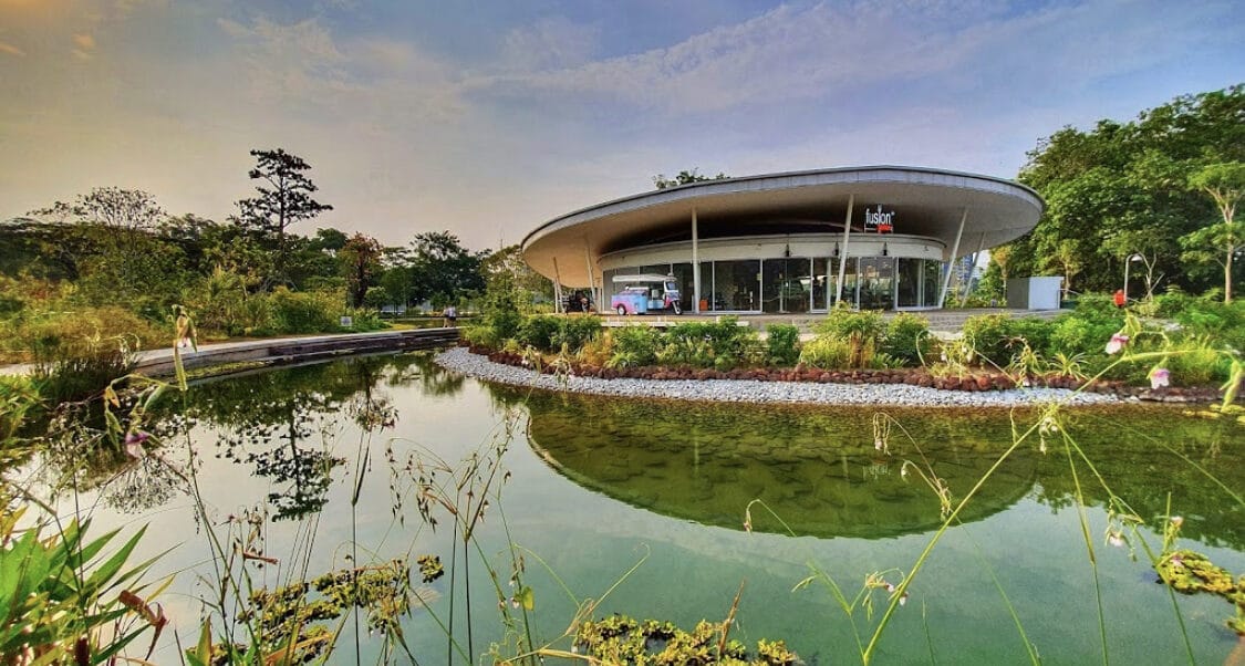 Elevate EPDM Lining 11 Artificial Lake EPDM