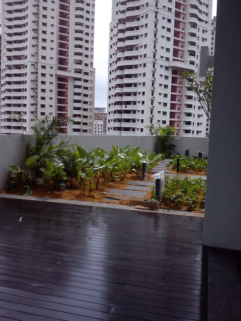 Project Gallery 64 Ceylon